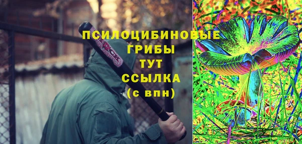 бошки Белокуриха