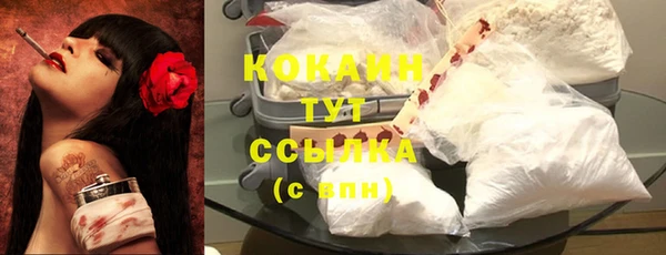 бошки Белокуриха