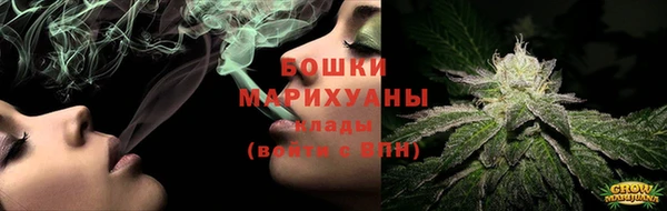 бошки Белокуриха