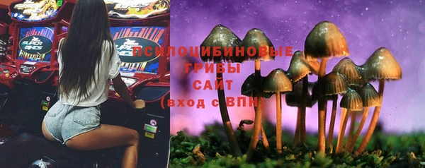 ешки Беломорск