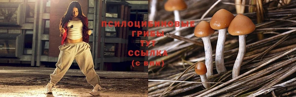 ешки Беломорск