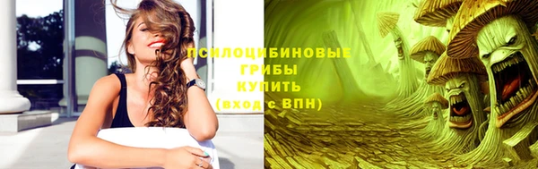 бошки Белокуриха