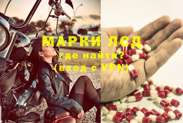 бошки Белокуриха