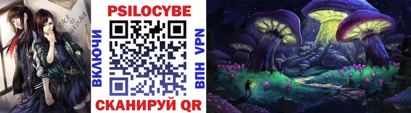 как найти наркотики  Мичуринск  Псилоцибиновые грибы Psilocybe 